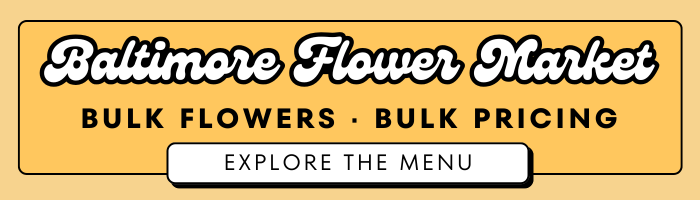 Bulk Flowers