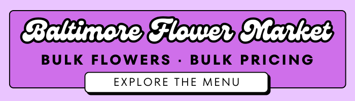 Bulk Flowers