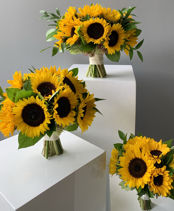 Classic Sunflowers