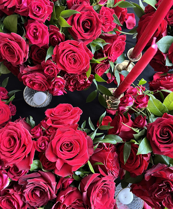 Classic Red Roses