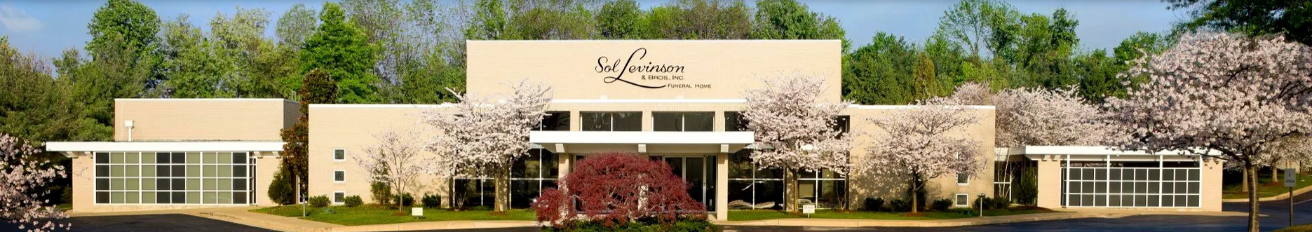 Sol Levinson's logo