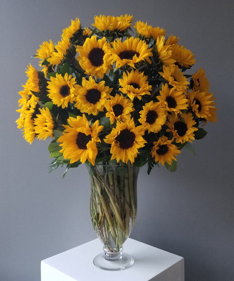 Endless Sunflowers Premium