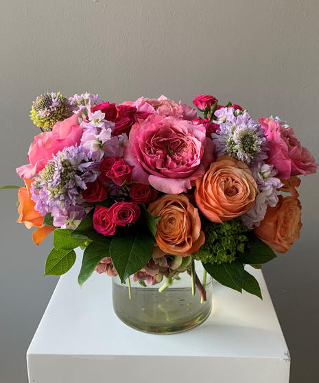 Constance Gardener Deluxe