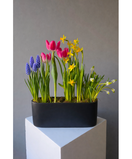 Welcome Spring! Blooming Planter