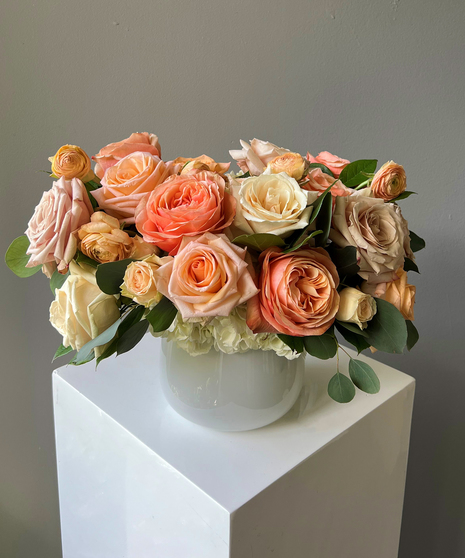 Peaches & Dreams Premium