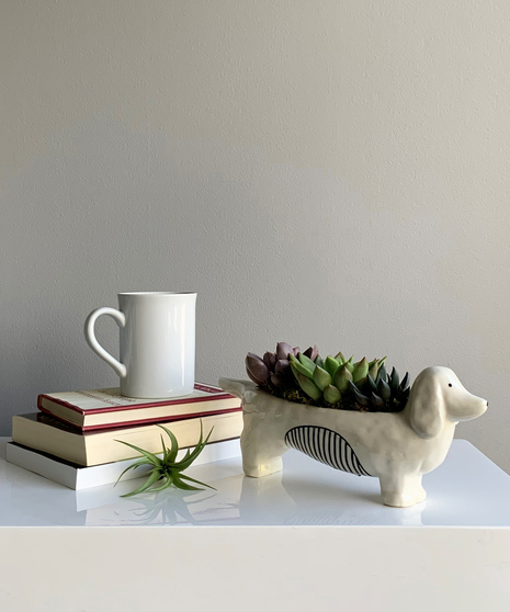 Chappy Dog Succulent Planter