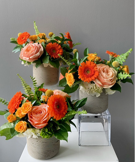 Citrus Centerpiece Trio