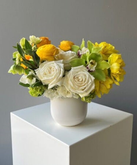 Citrus Glow Classic