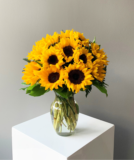 Endless Sunflowers Medium