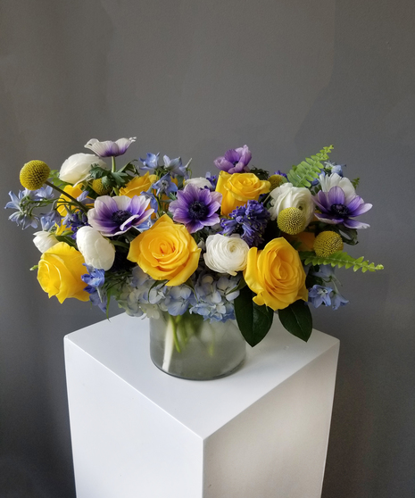 Forget Me Not Premium