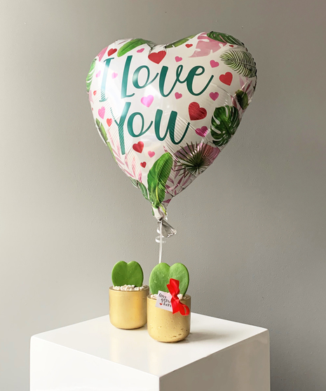 Hoya Hearts In Love Duo with Mylar