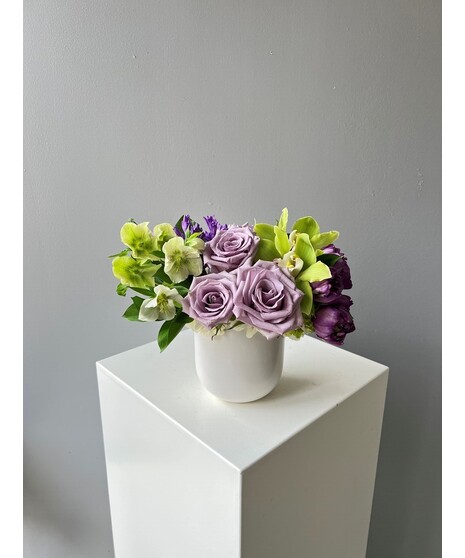 Lavender Essence Classic