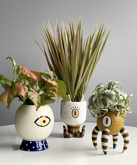 Eye Spy Collection