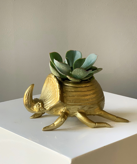Golden Scarab