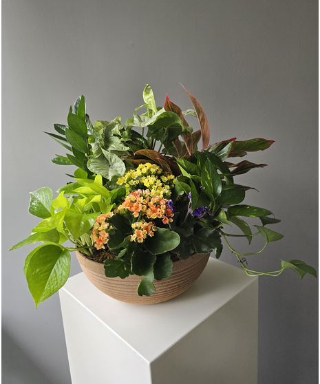 Blooming Planter