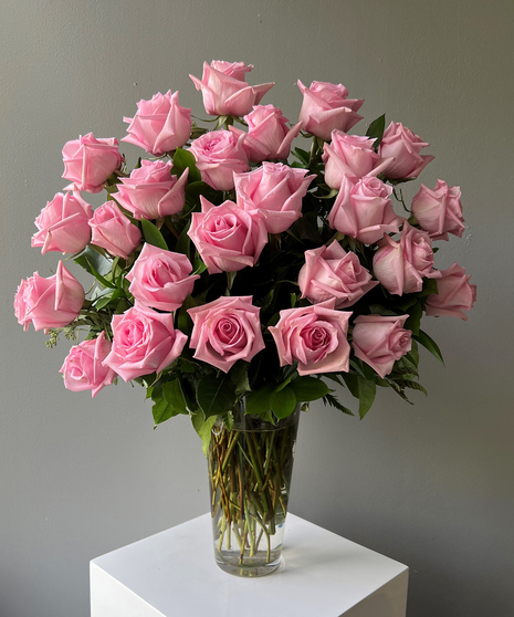 36 Light Pink Roses