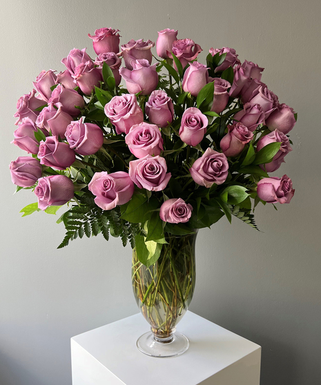 48 Lavender Roses