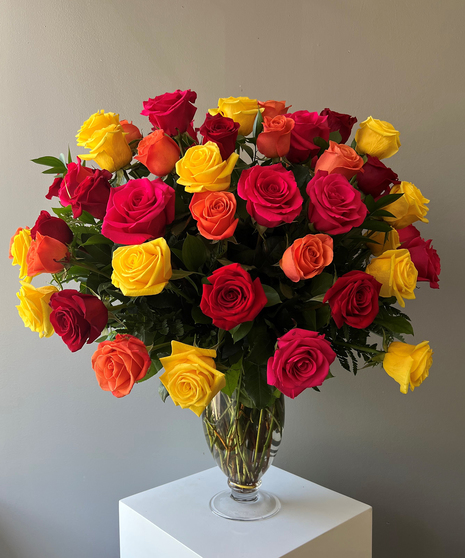48 Mixed Roses