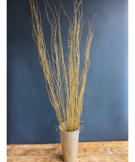 Gold Glitter Winter Branch ( 1 bunch/10 stems)