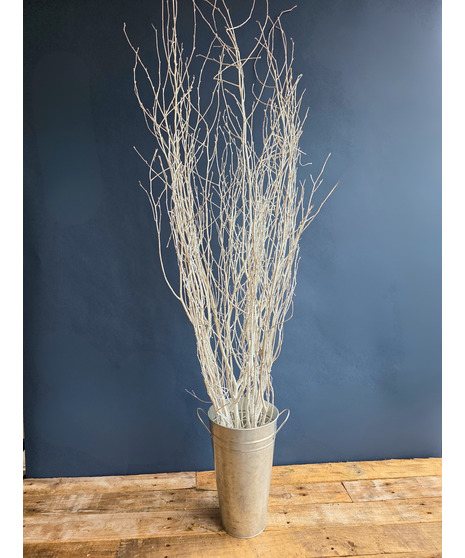 White Winter Branch ( 1 bunch/5 stems)
