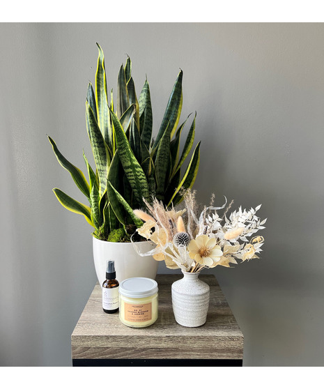 gift set with flowers, plant, and gift set