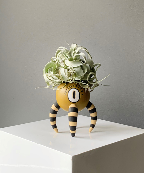 The Claw with Airplant