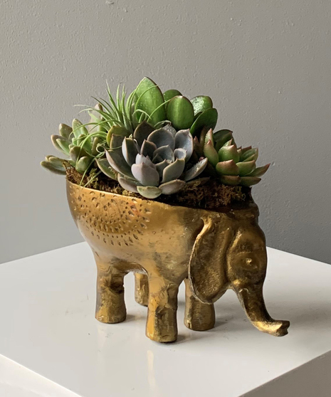 Ezzie Elephant Planter