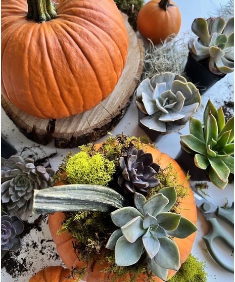 October 14th Design Class