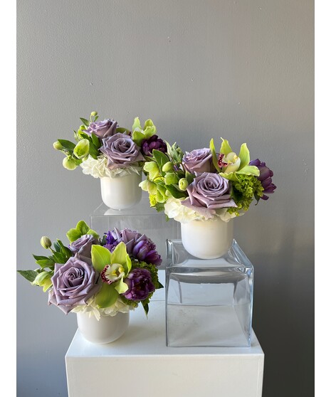 Lavender Essence Trio