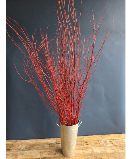 Red Winter Branch ( 1 bunch/5 stems)