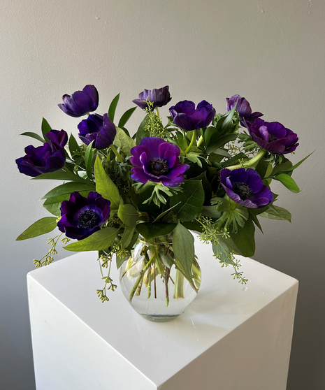Simply Anemone