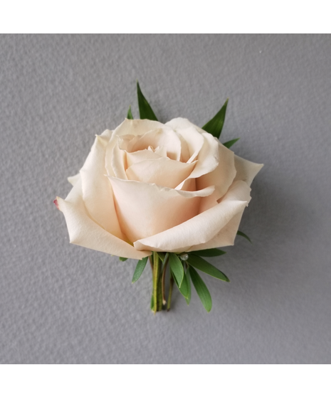 Classic Blush Rose Boutonniere