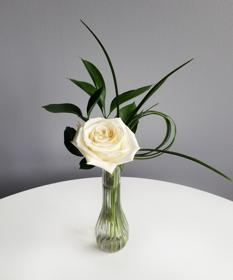 Tribute Rose