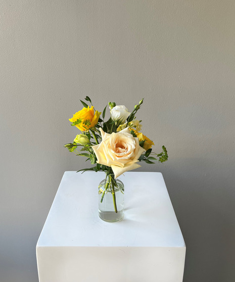 Lemon Cocktail Budvase