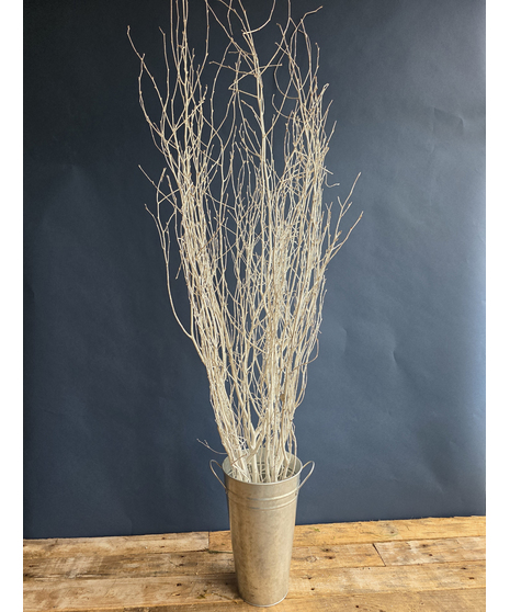White Winter Branch ( 1 bunch/5 stems)