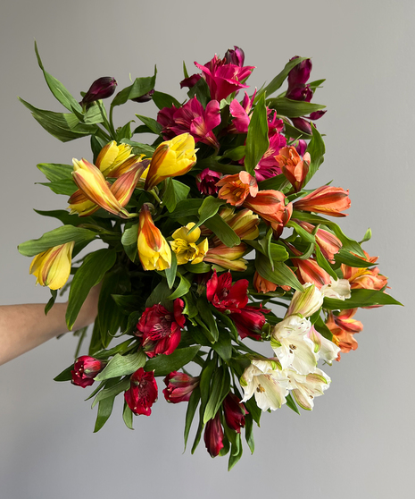 ALSTROEMERIA ASSORTED