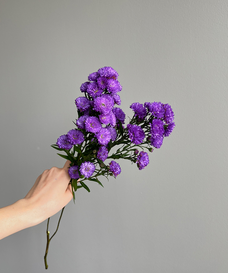 ASTER