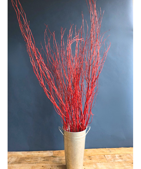 Red Winter Branch ( 1 bunch/5 stems)