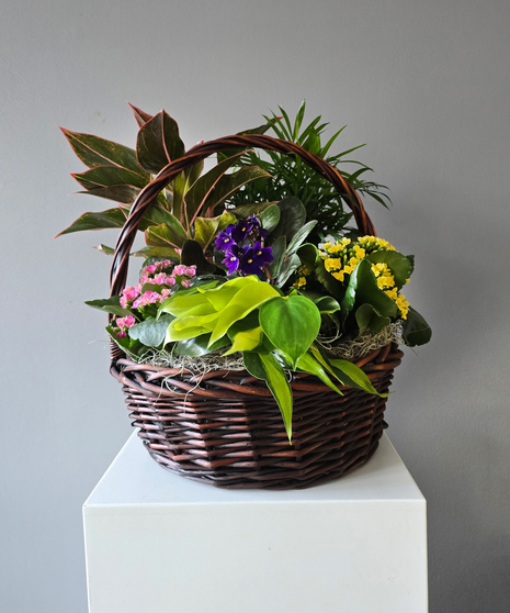 Blooming Planter