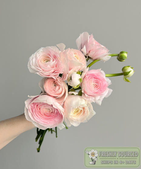 ranunculus