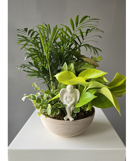 Green Planter with Cherub Pick
