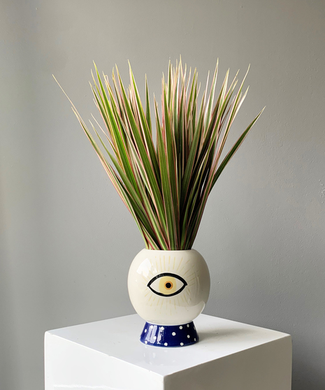 Clairvoyant Pot with Plant