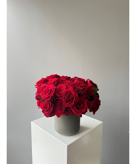 Crimson Couture Deluxe