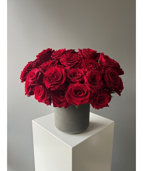 Crimson Couture Premium