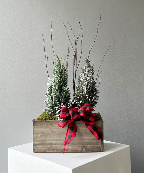 Cypress Planter Box