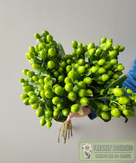 yellow billy balls held in hand on grey background
