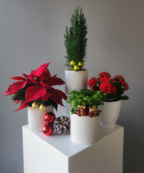 Holiday Host Gifting