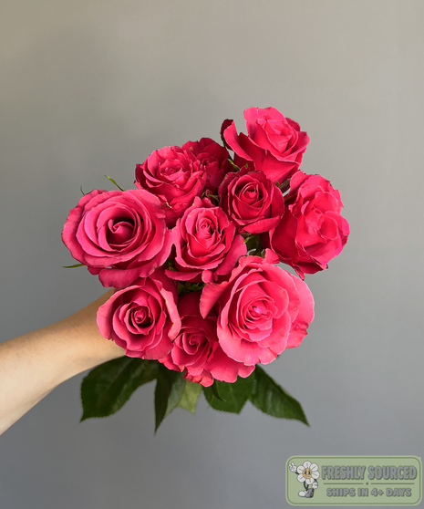 bunch of spray roses held in hand on grey background
