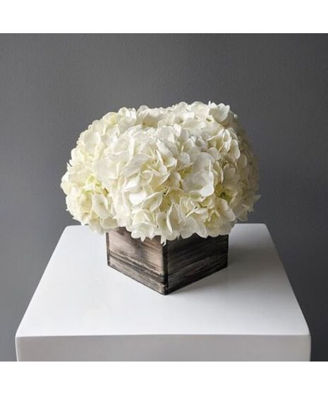 Centerpieces cheap with hydrangeas