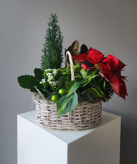 Holiday Planter